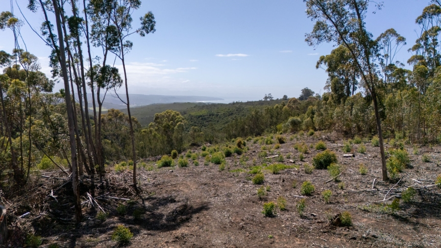  Bedroom Property for Sale in Plettenberg Bay Rural Western Cape